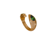 DBS