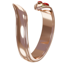 SnK