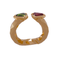 Siamois