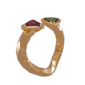 Siamois