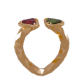 Siamois