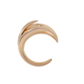Palm