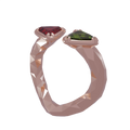 Siamois